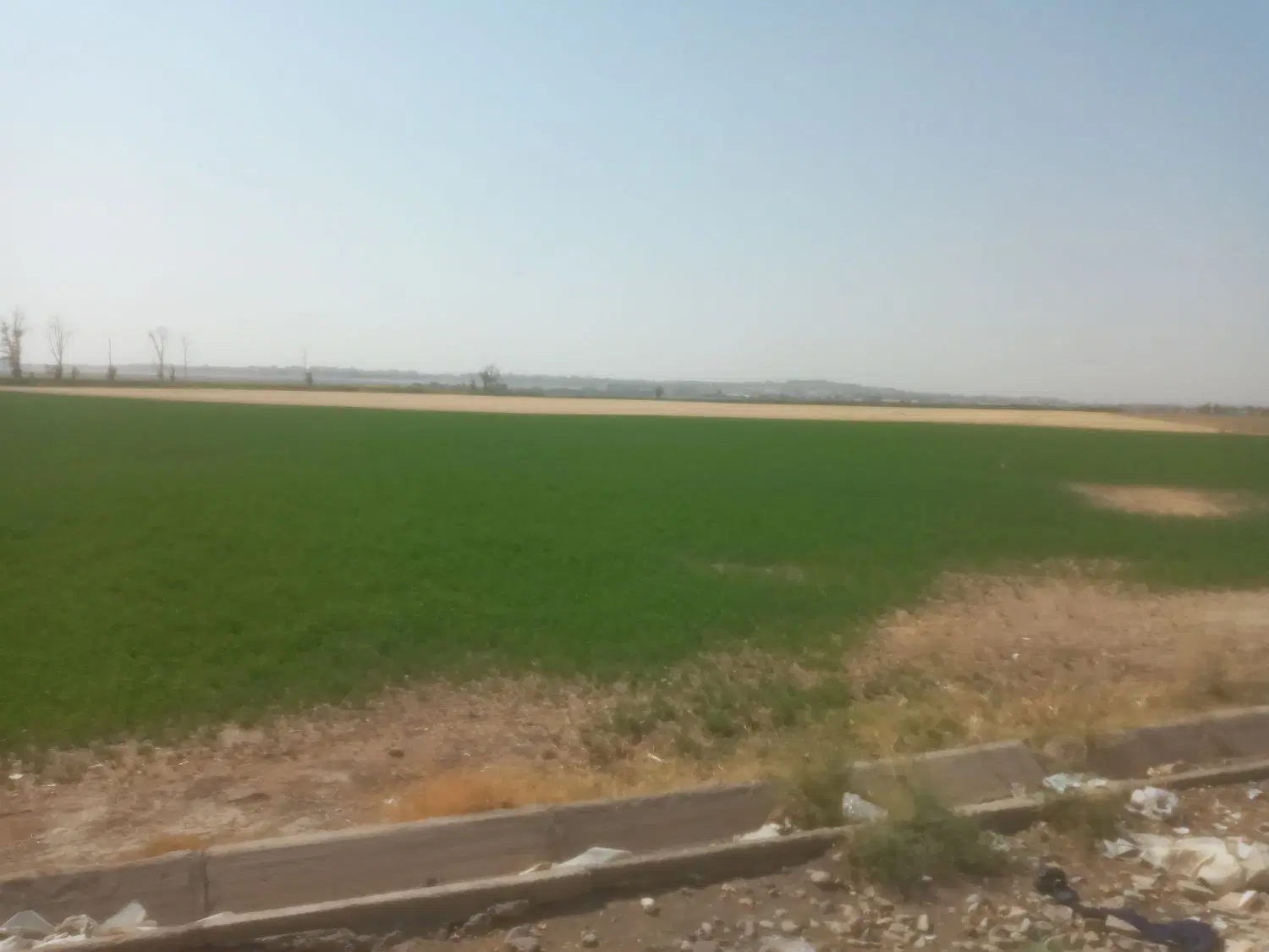 زمین کشاورزی