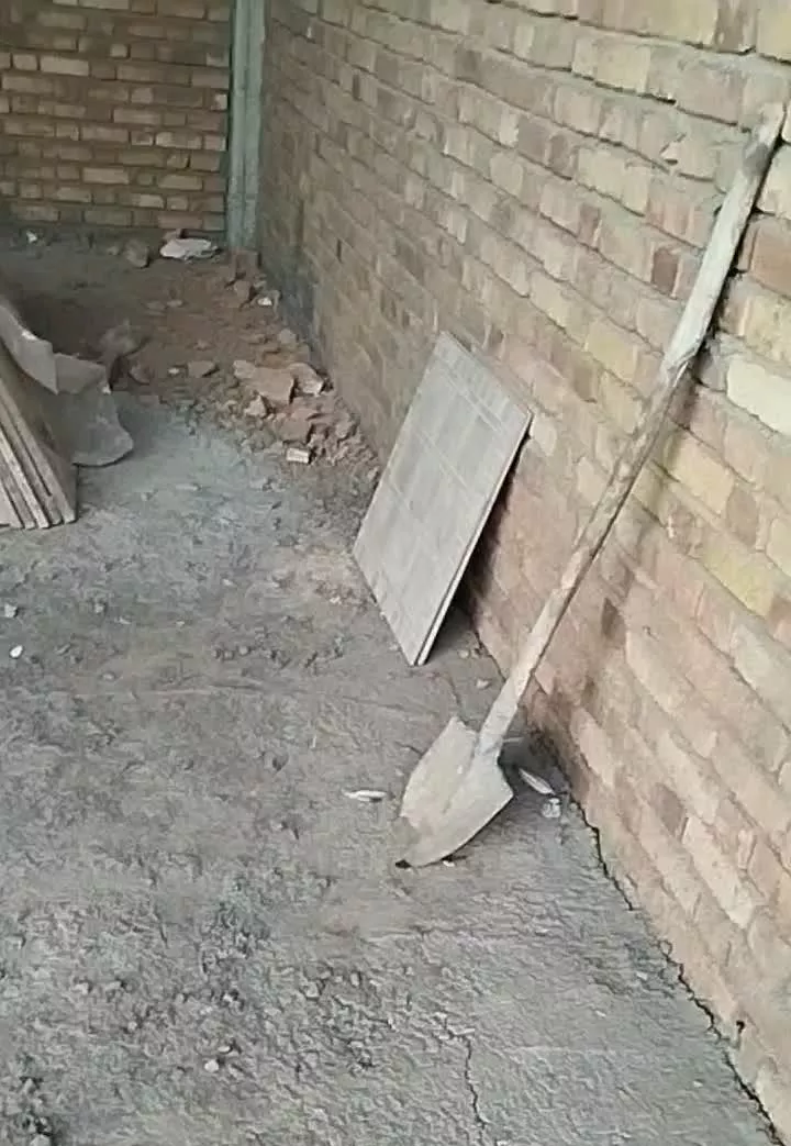 مغازه