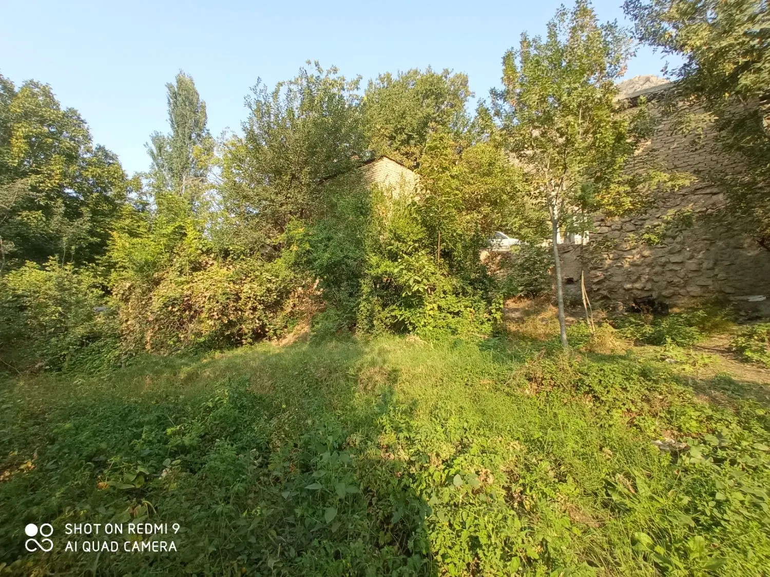 فروش زمین