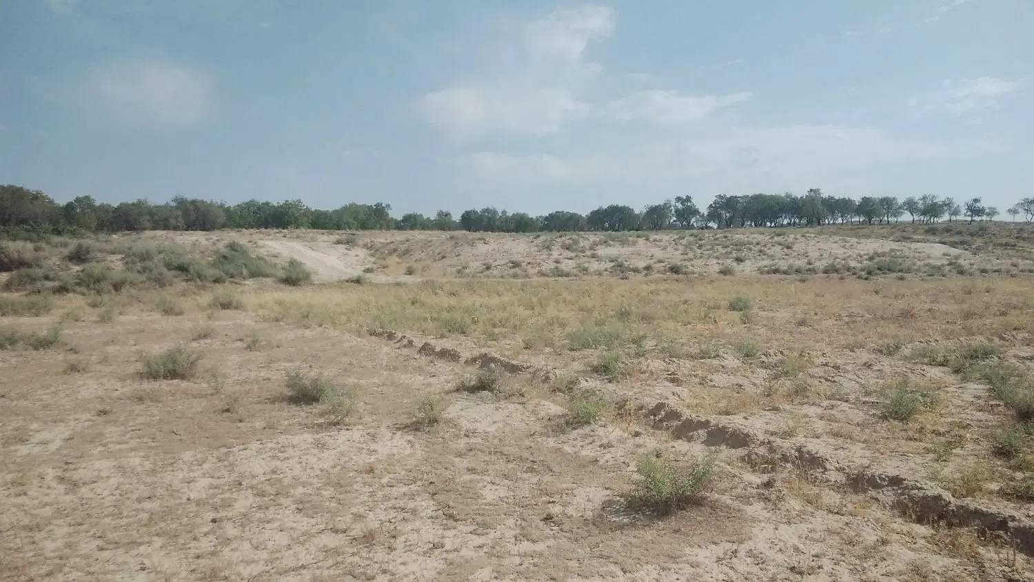 فروش ۳۸۰۰متر زمین کشاورزی در غرق آباد