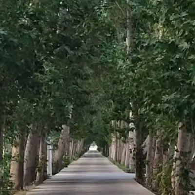 زمین آخرت