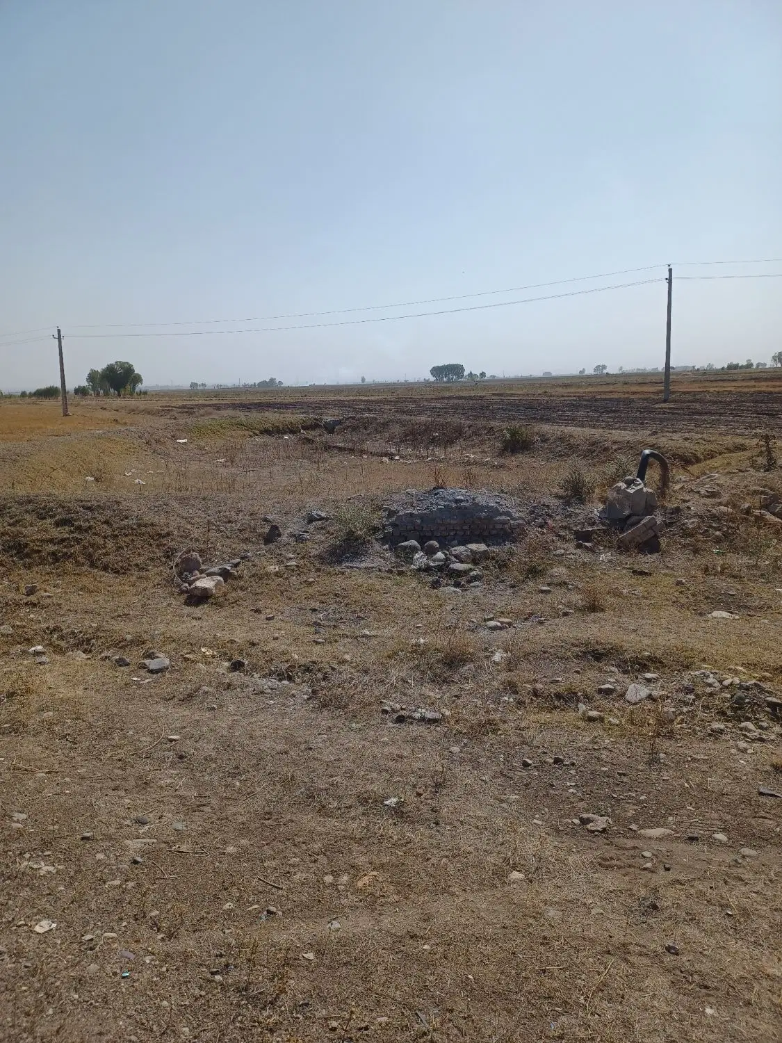 زمین کشاورزی