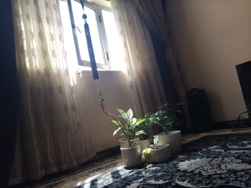 اجاره خانه