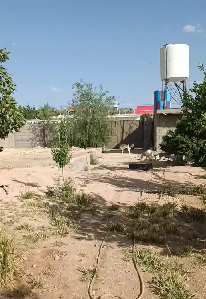 فروش باغ شهری در مجموعه گلابدره