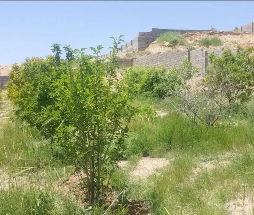باغ شهری گلدشت سیاخ دارنگون