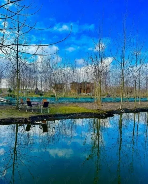 واقعی امارویایی