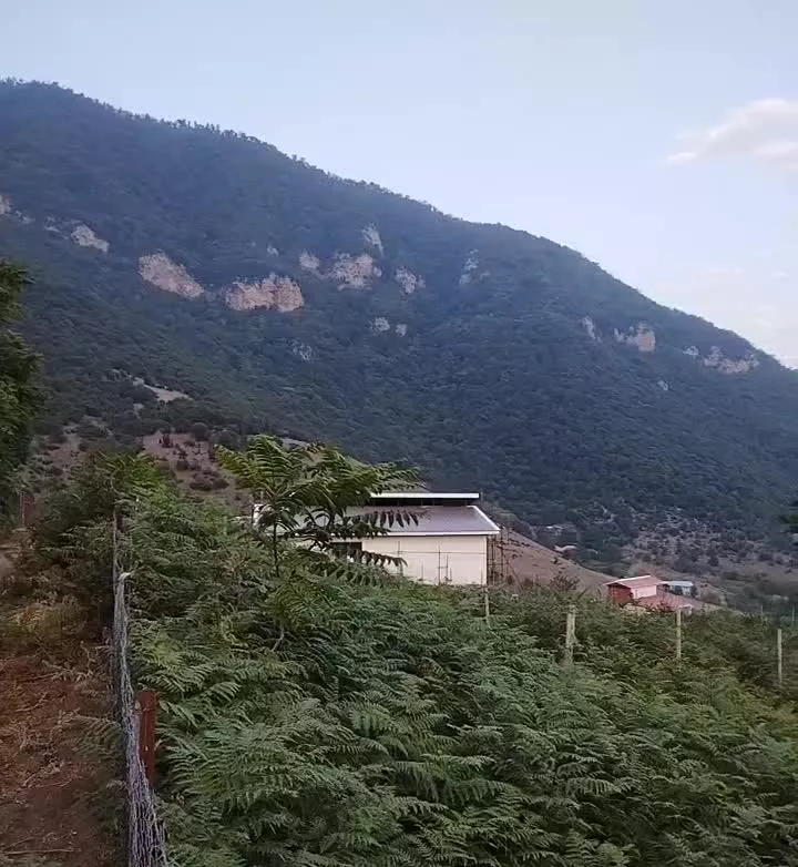 زمین ییلاقی