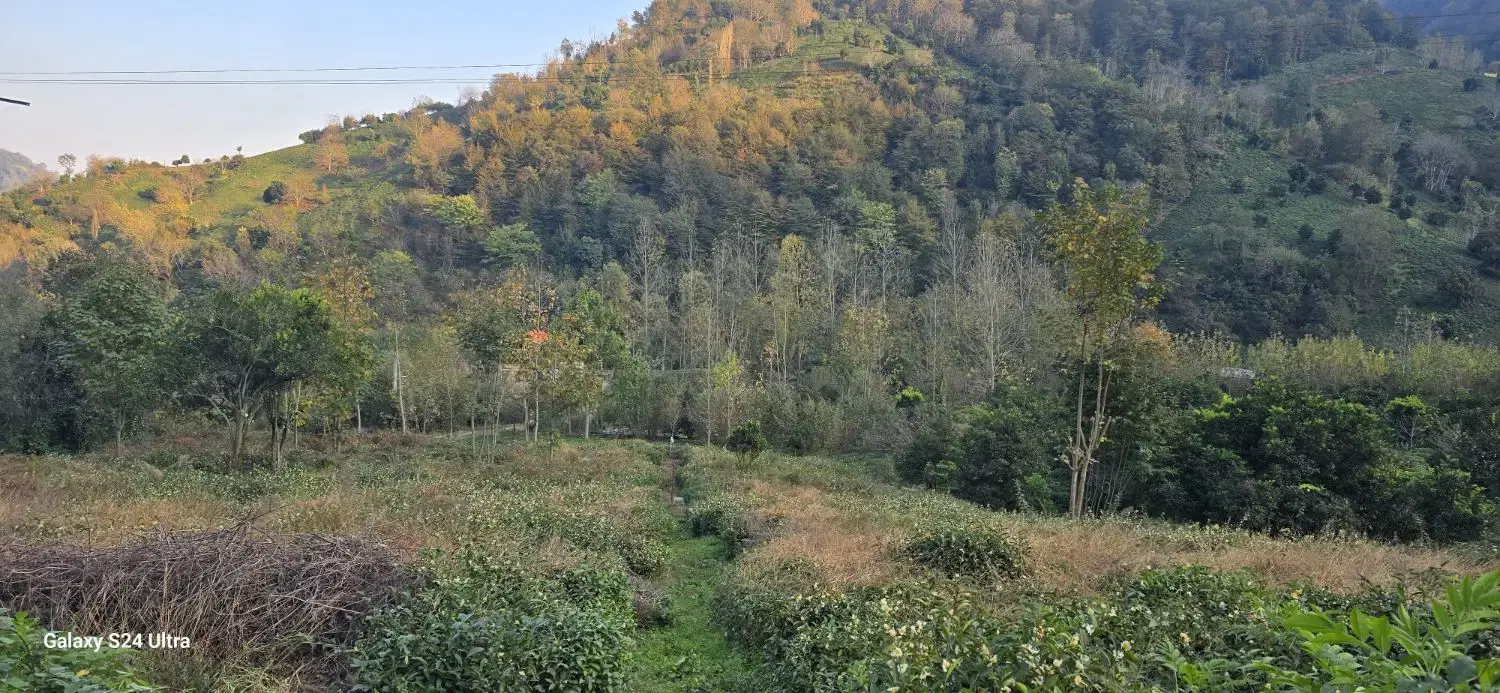 780 متری مسکونی (سند دار)