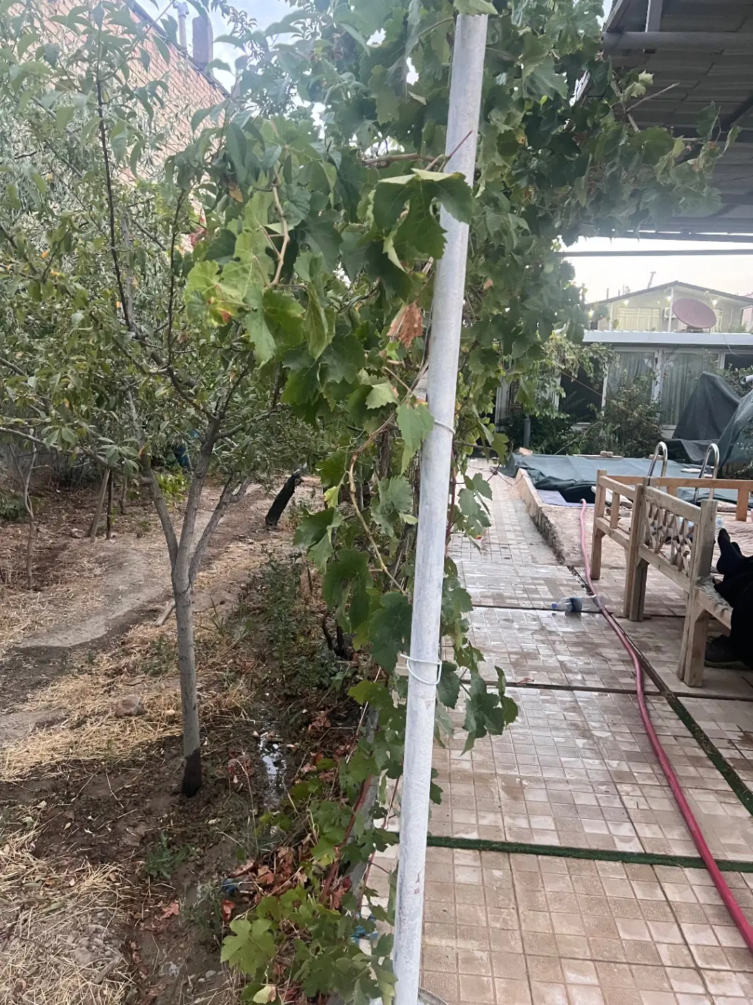 باغ ویلا