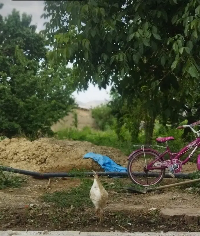 فروش زمین مسکونی واقع در روستای سیان علیا