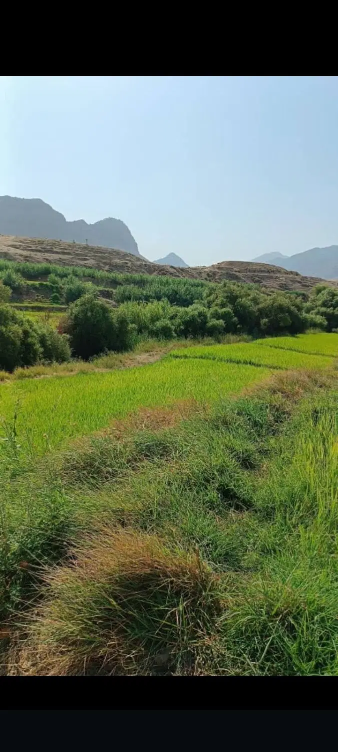زمین