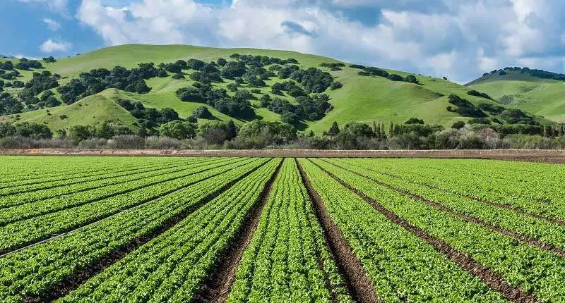 فروش زمین