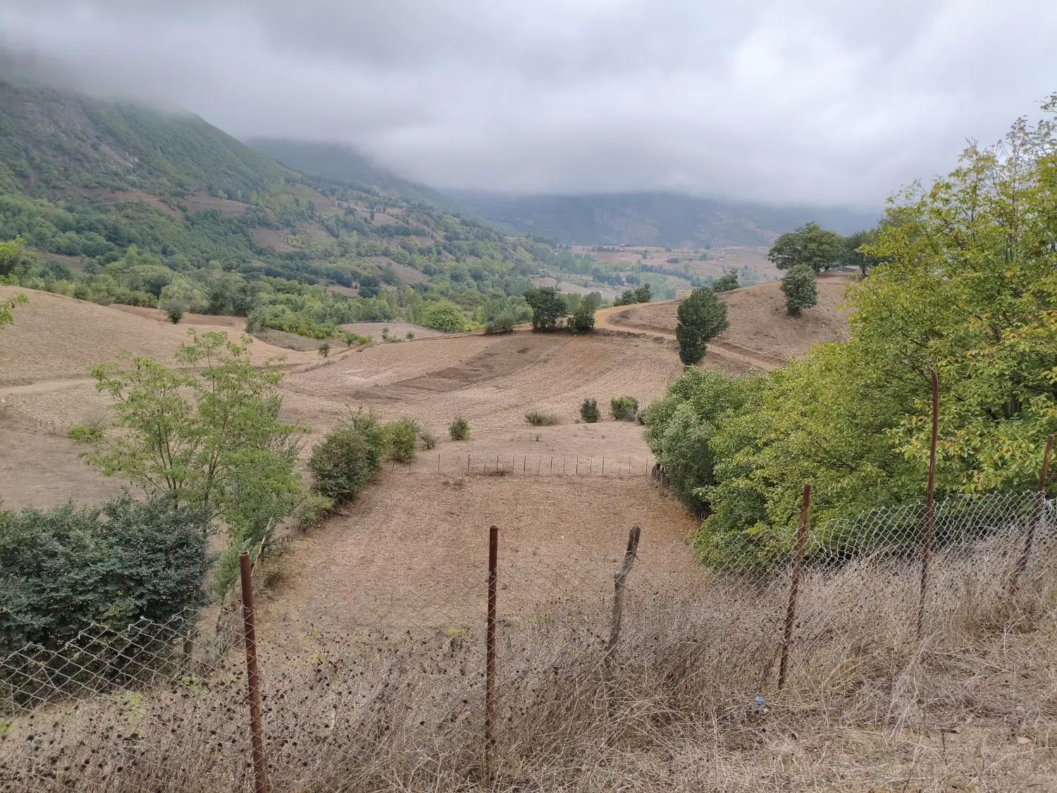 زمین مسکونی