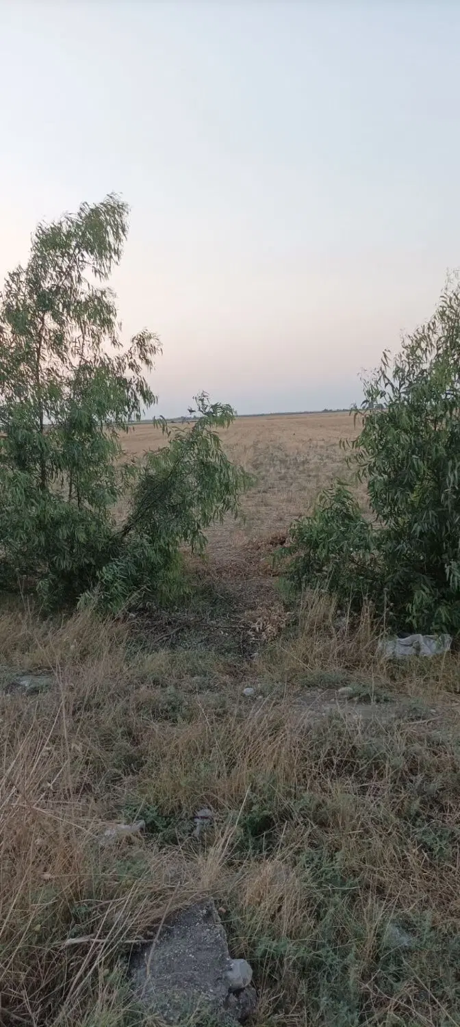 زمین کشاورزی بر جاده اصلی گنبد به آقلا