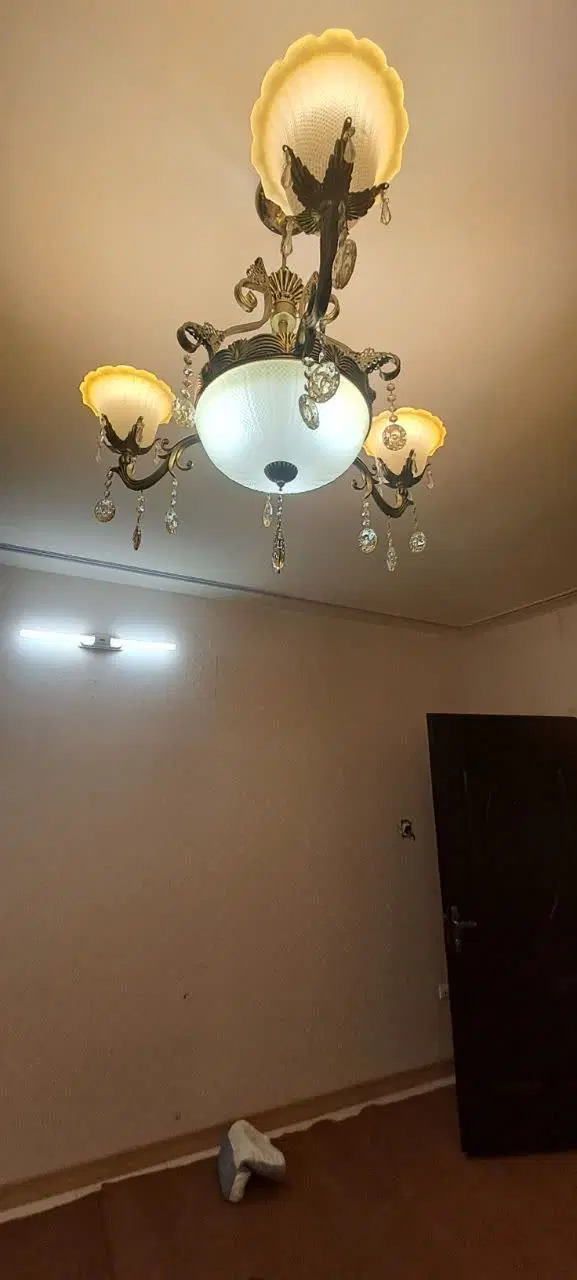شجاعت