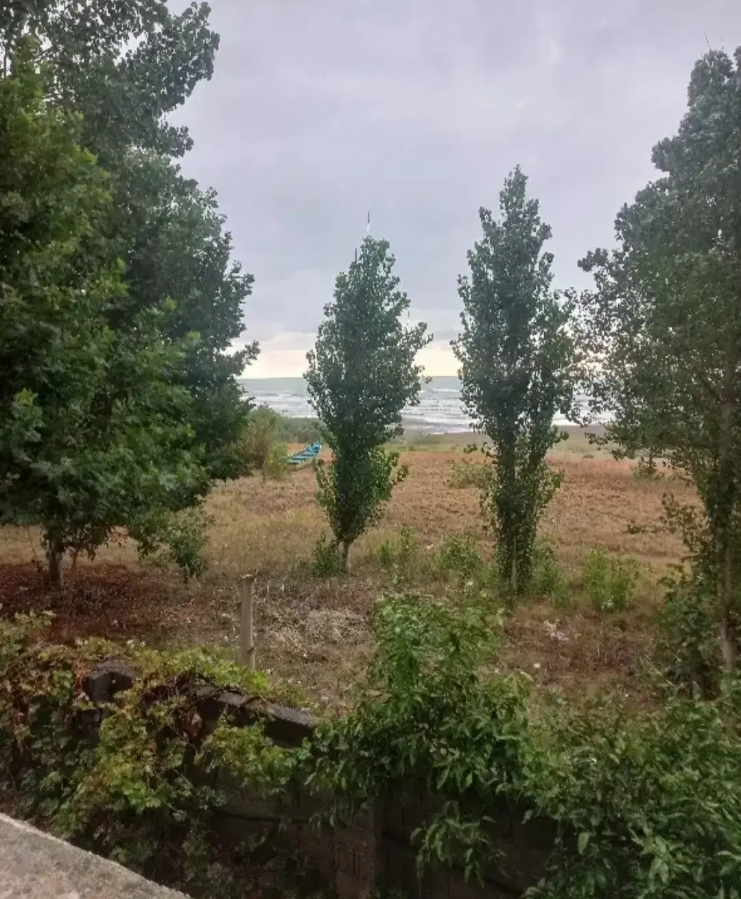 ۸۶متری شهرک پلاک یک ساحل