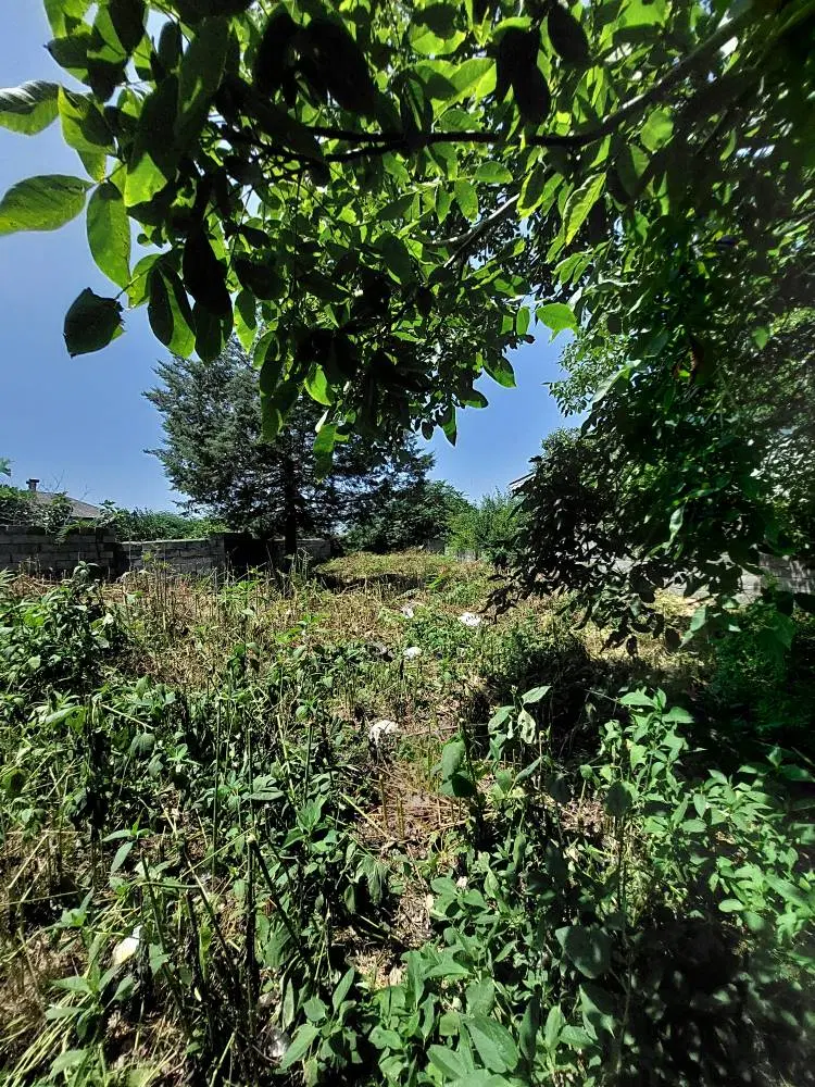 فروش زمین داخل روستای کپورچال بندرانزلی