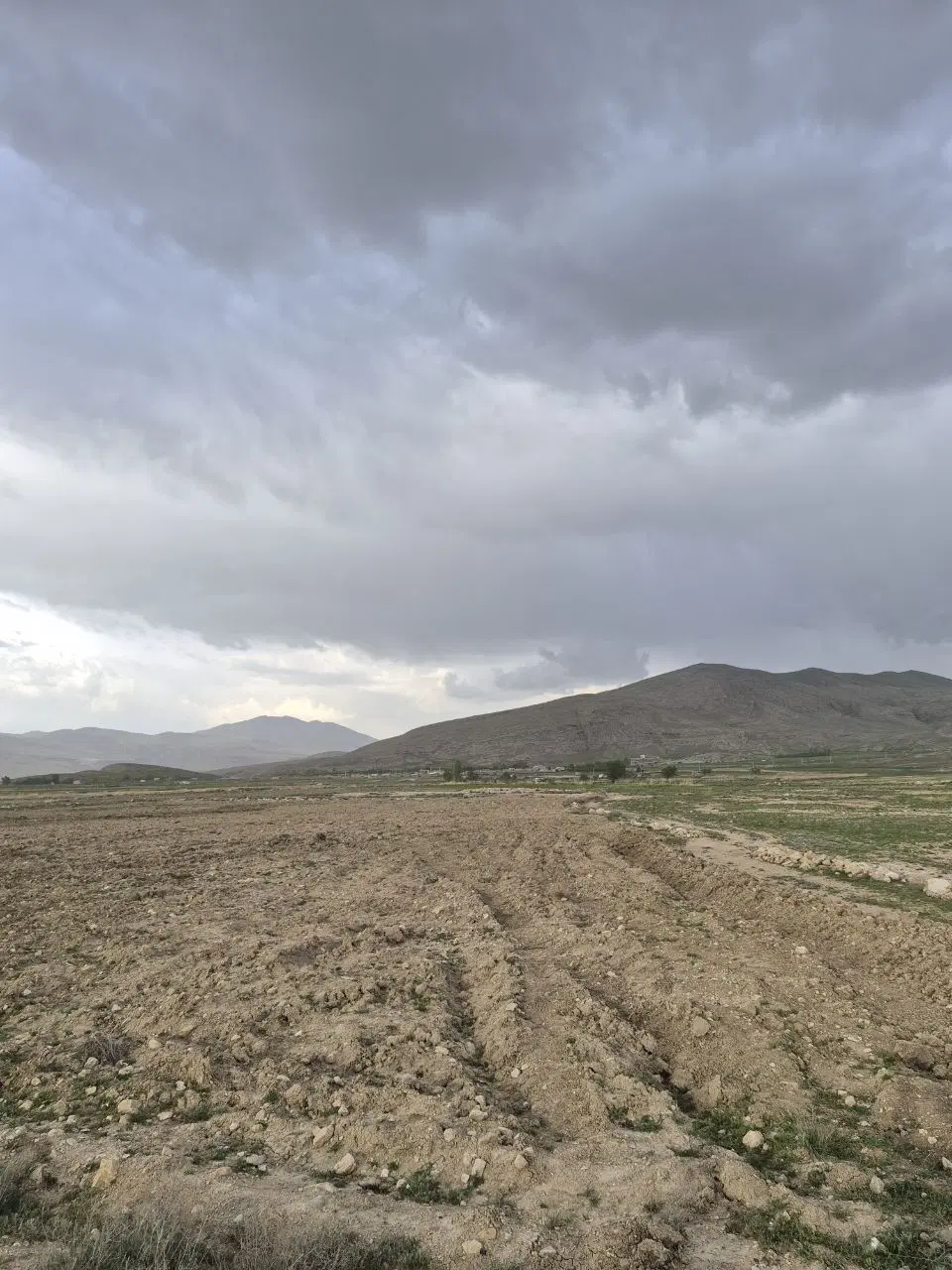 زمین زارعی