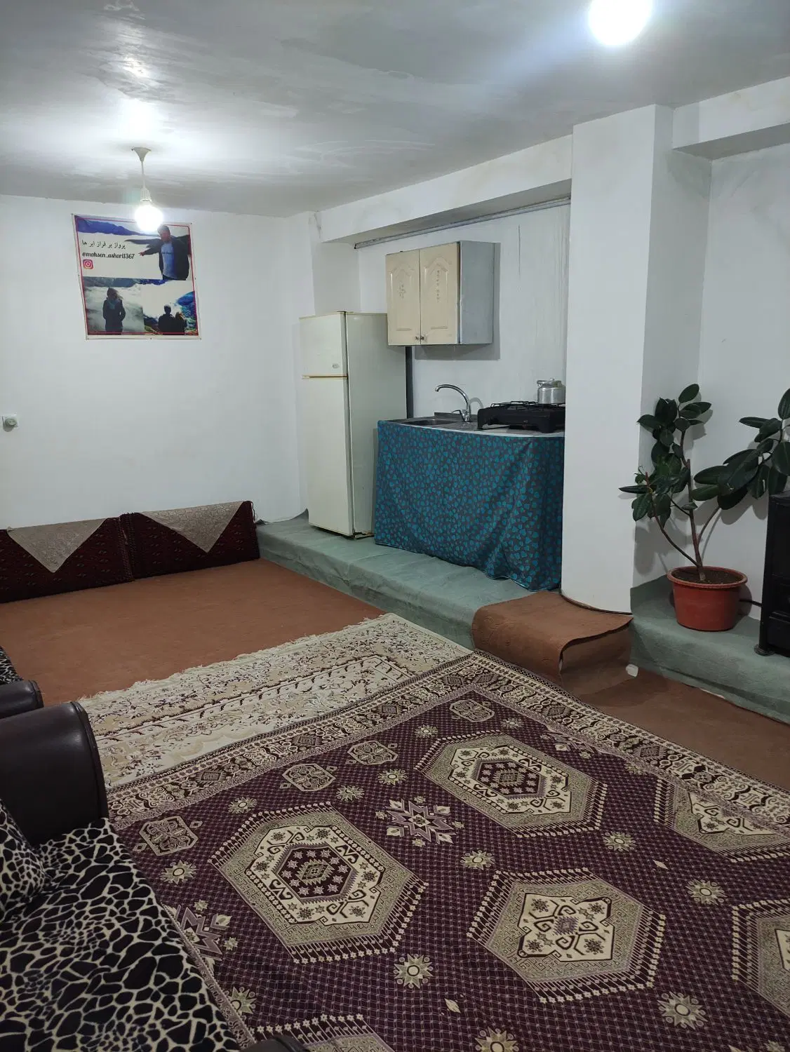 اجاره سوئیت دربست در جنگل ابر