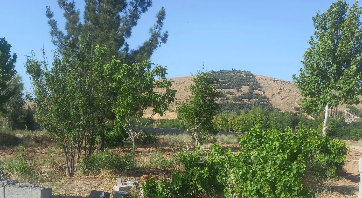 فروش زمین انجیره