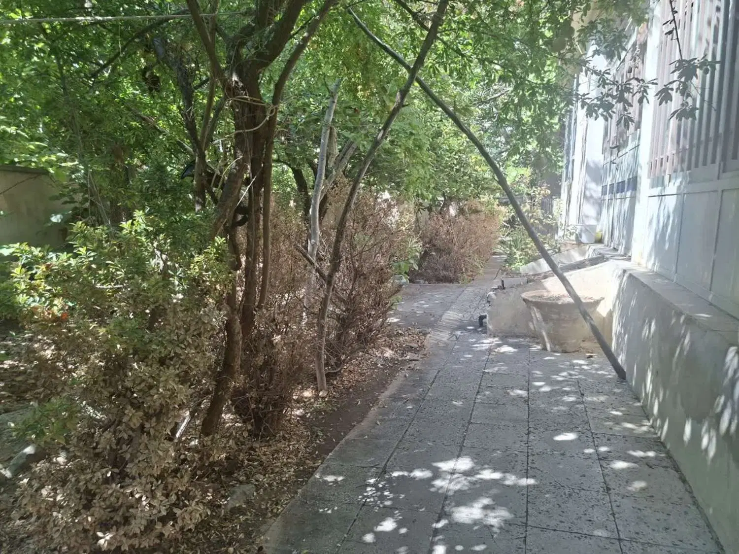 بنادار ویلایی زرین دشت
