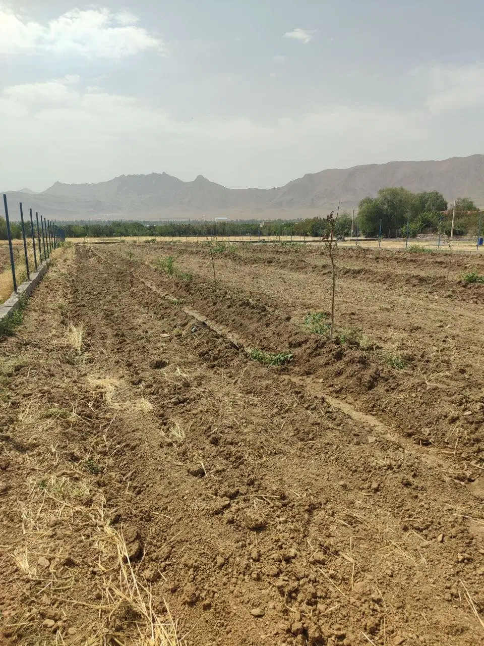 فروش زمین کشاورزی