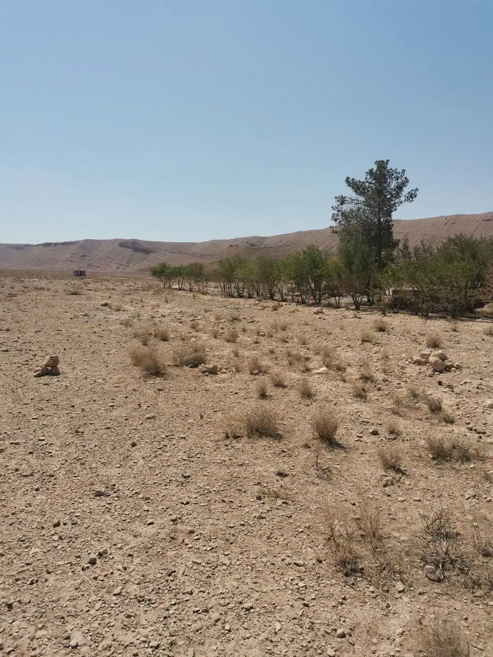 زمین در جاده بهرام جرد