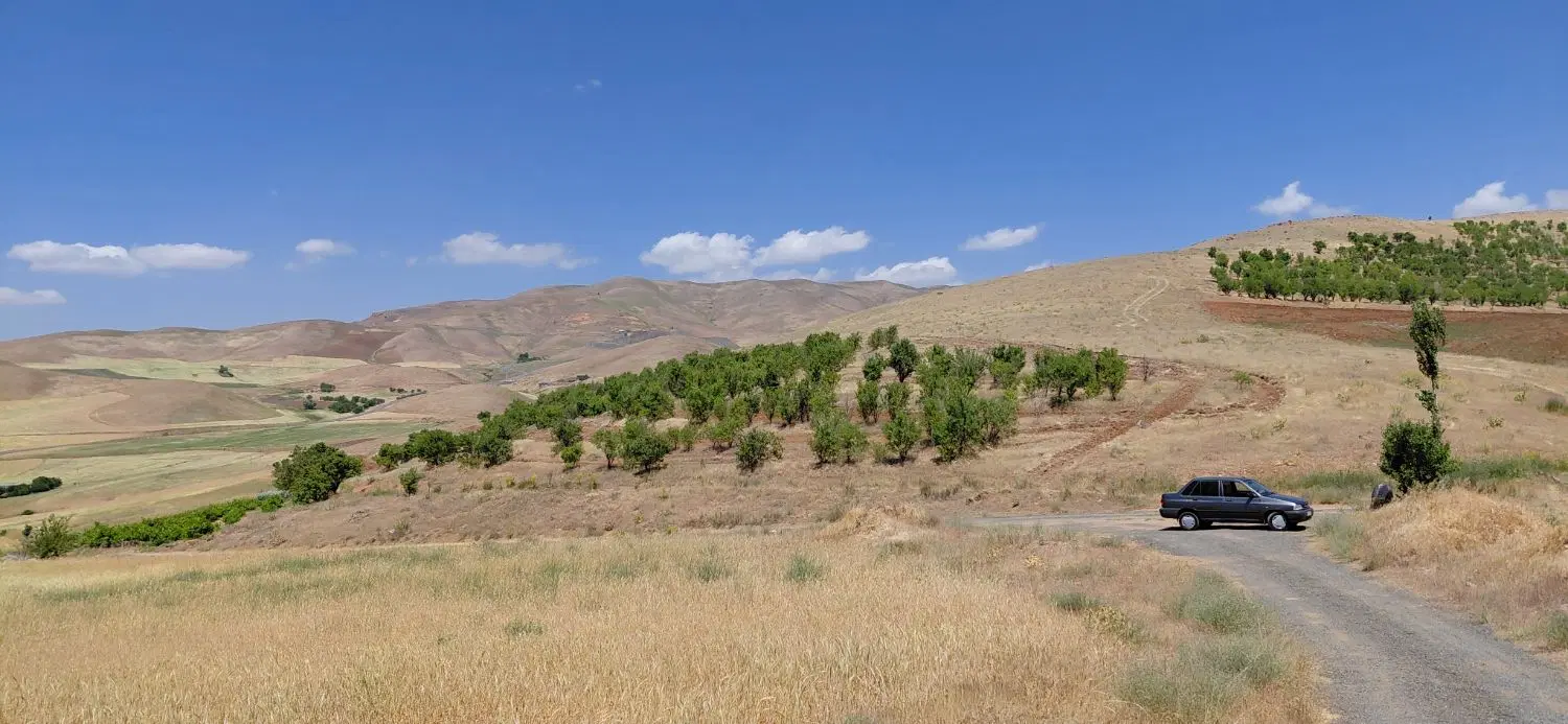 فروش زمین کشاورز باغ و دیم