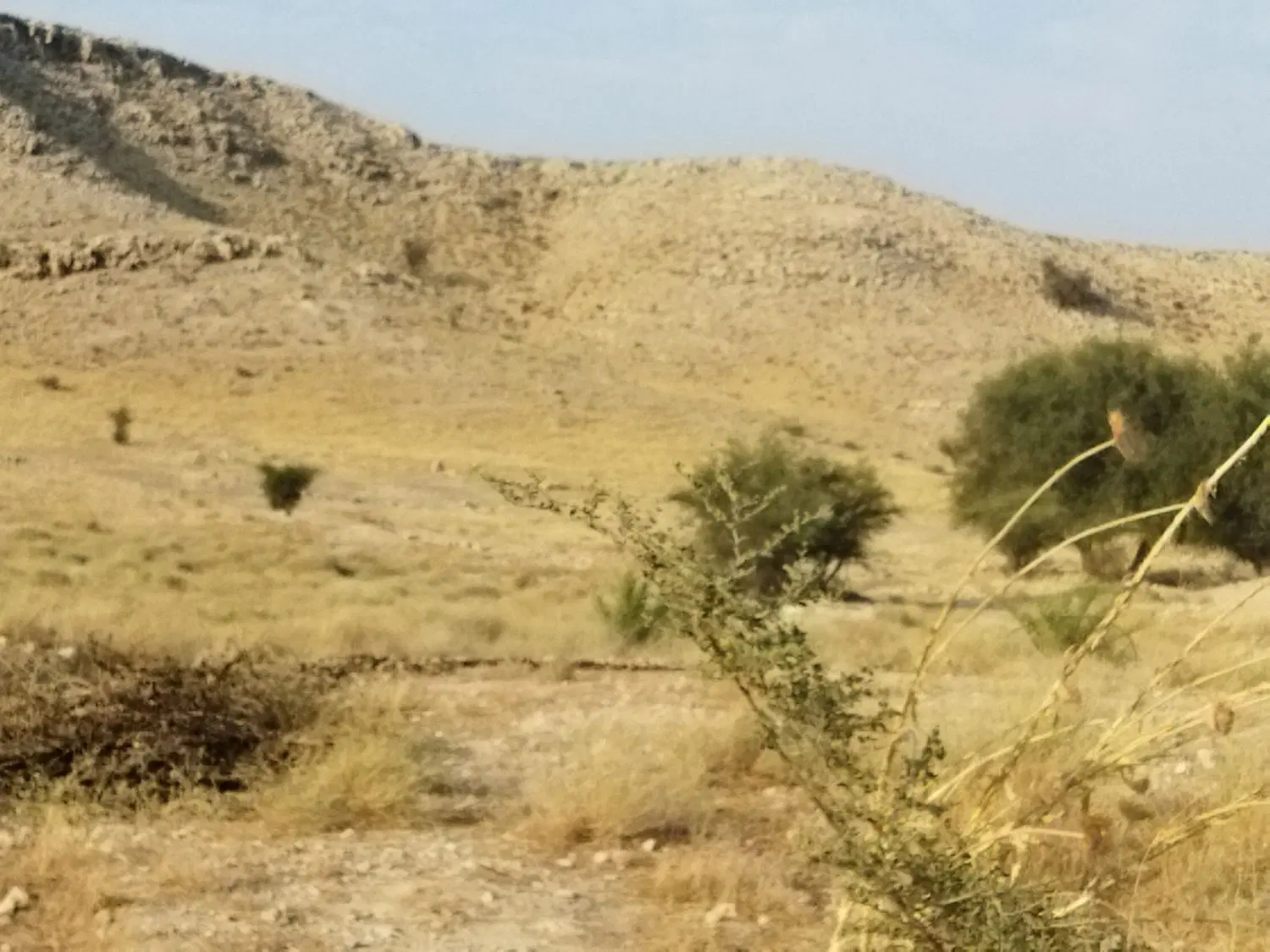 قشلاق