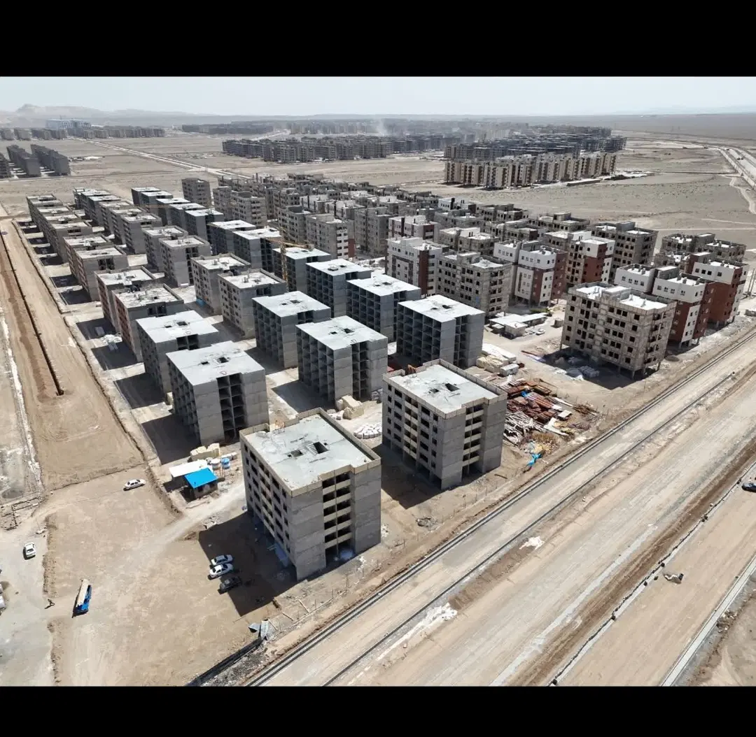 انواع فیش مسکن