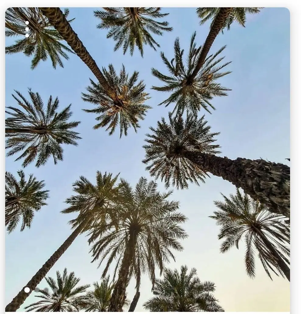 فروش زمین در دلوار