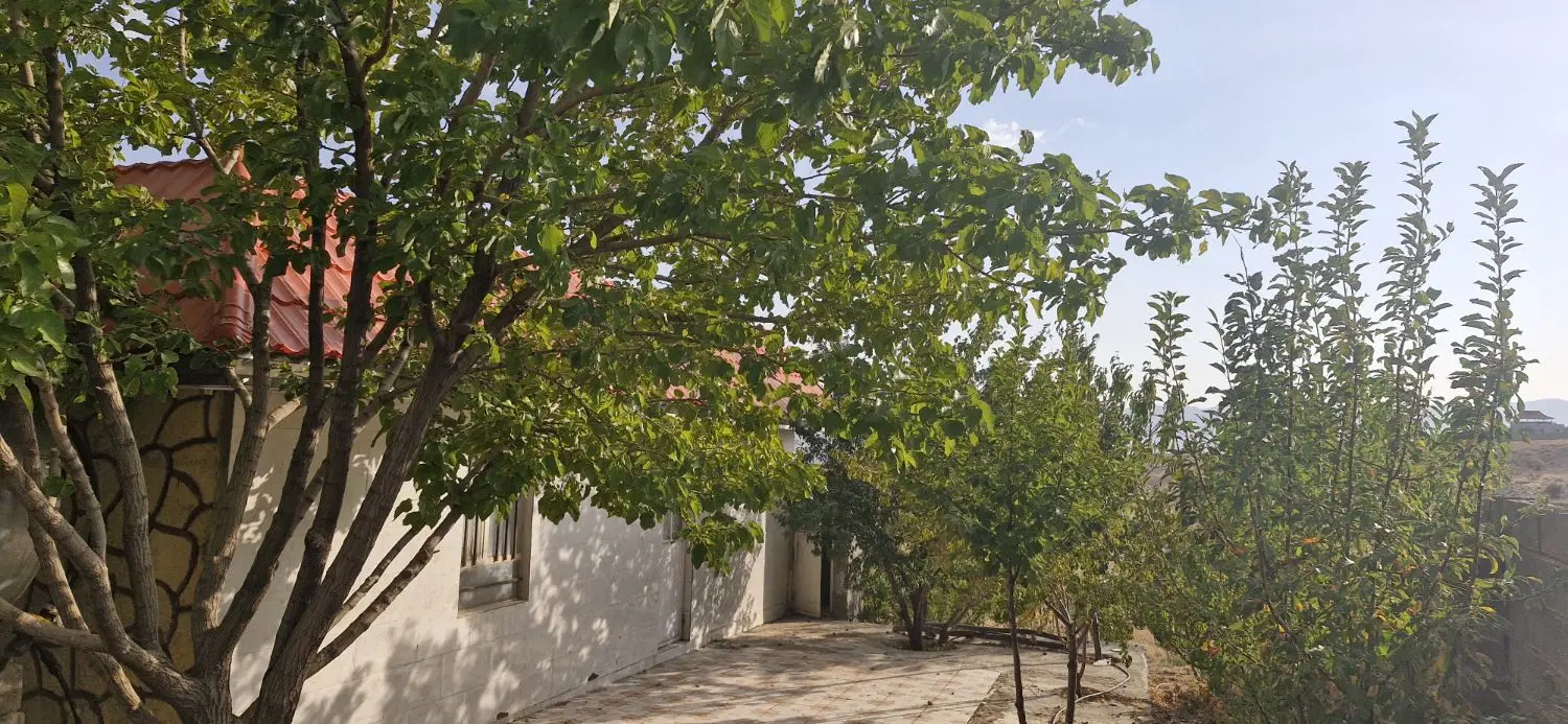 فروش باغ ثمری خان زنیان روستای زنگنه