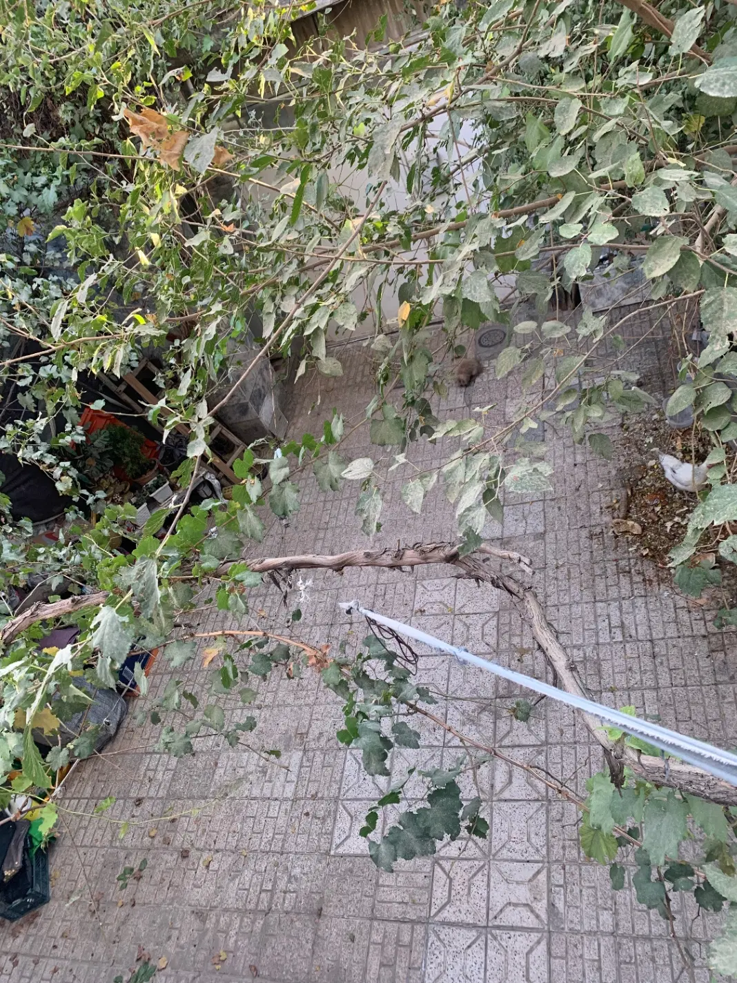 خانه ۱۵۸ متر دو طبقه حیاط دار