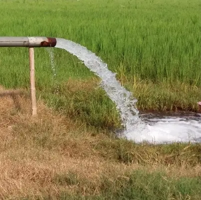 چاه آب شش دانگ با هفت هکتار زمین و باغ