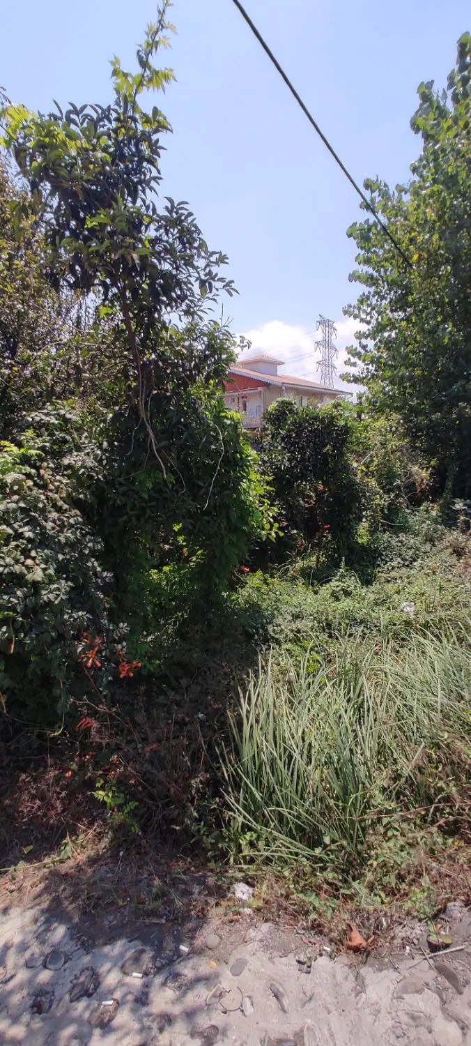 خانه ویلایی حیاط دار
