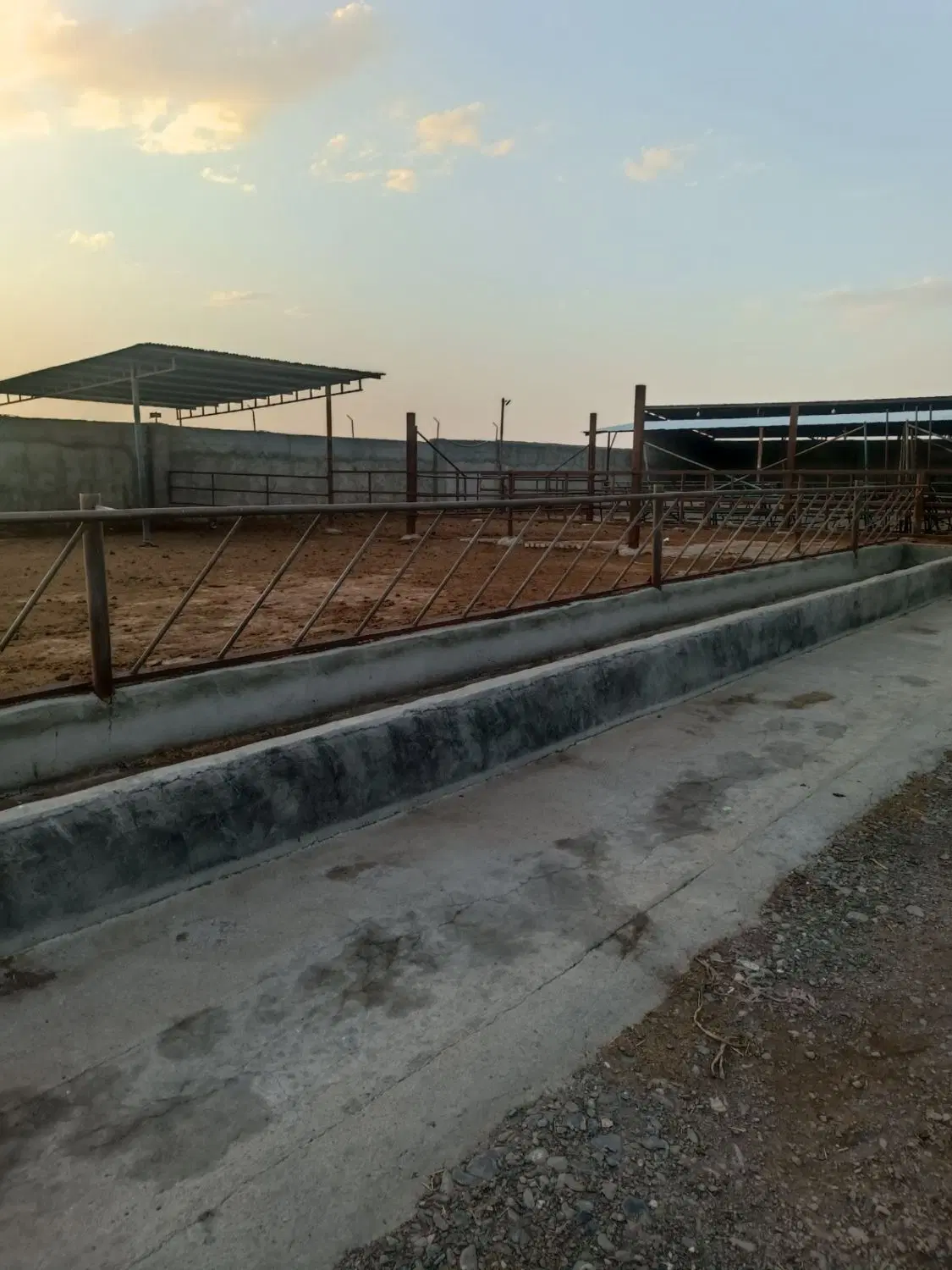 گاو داری مجهز