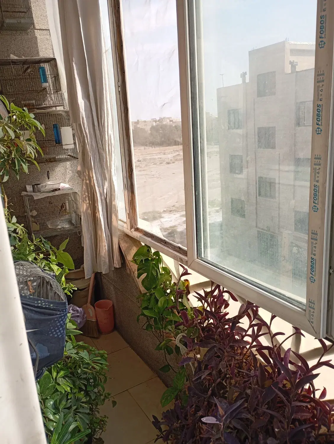 خانه نورگیر، دلباز ،