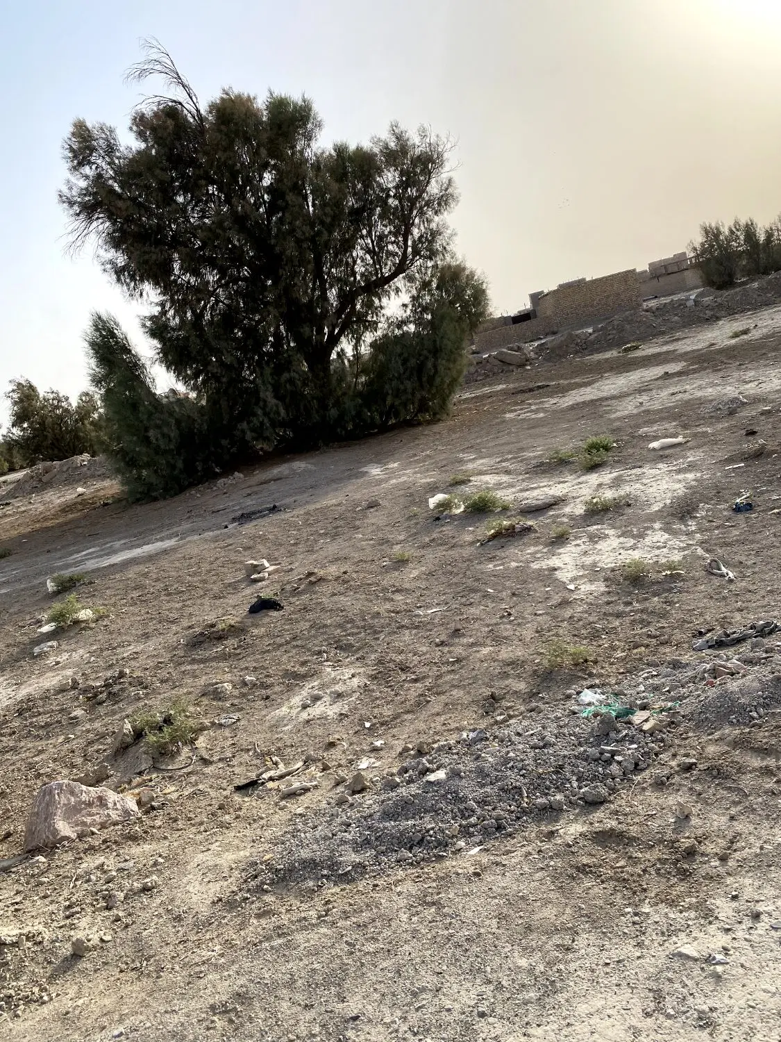 زمین فروشی خیابان دانشگاه