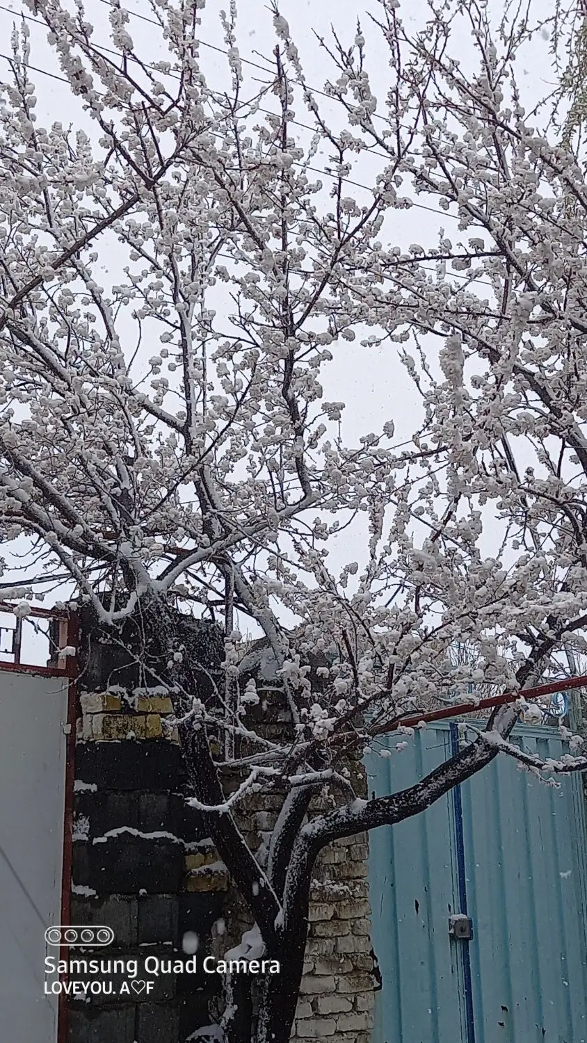 فروش خانه ویلایی در روستا