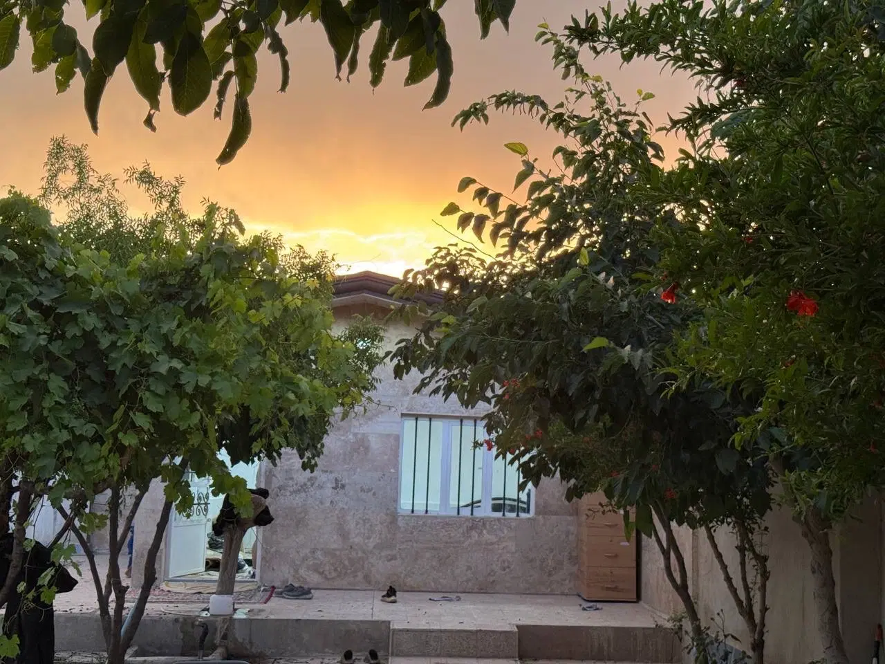باغ ویلا