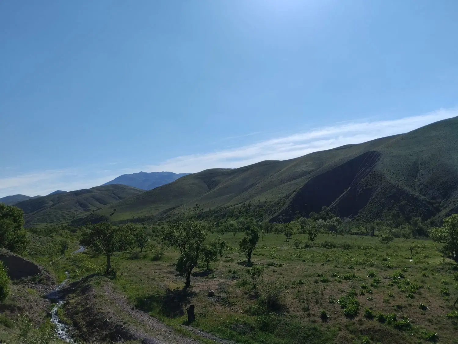 زمین مسکونی