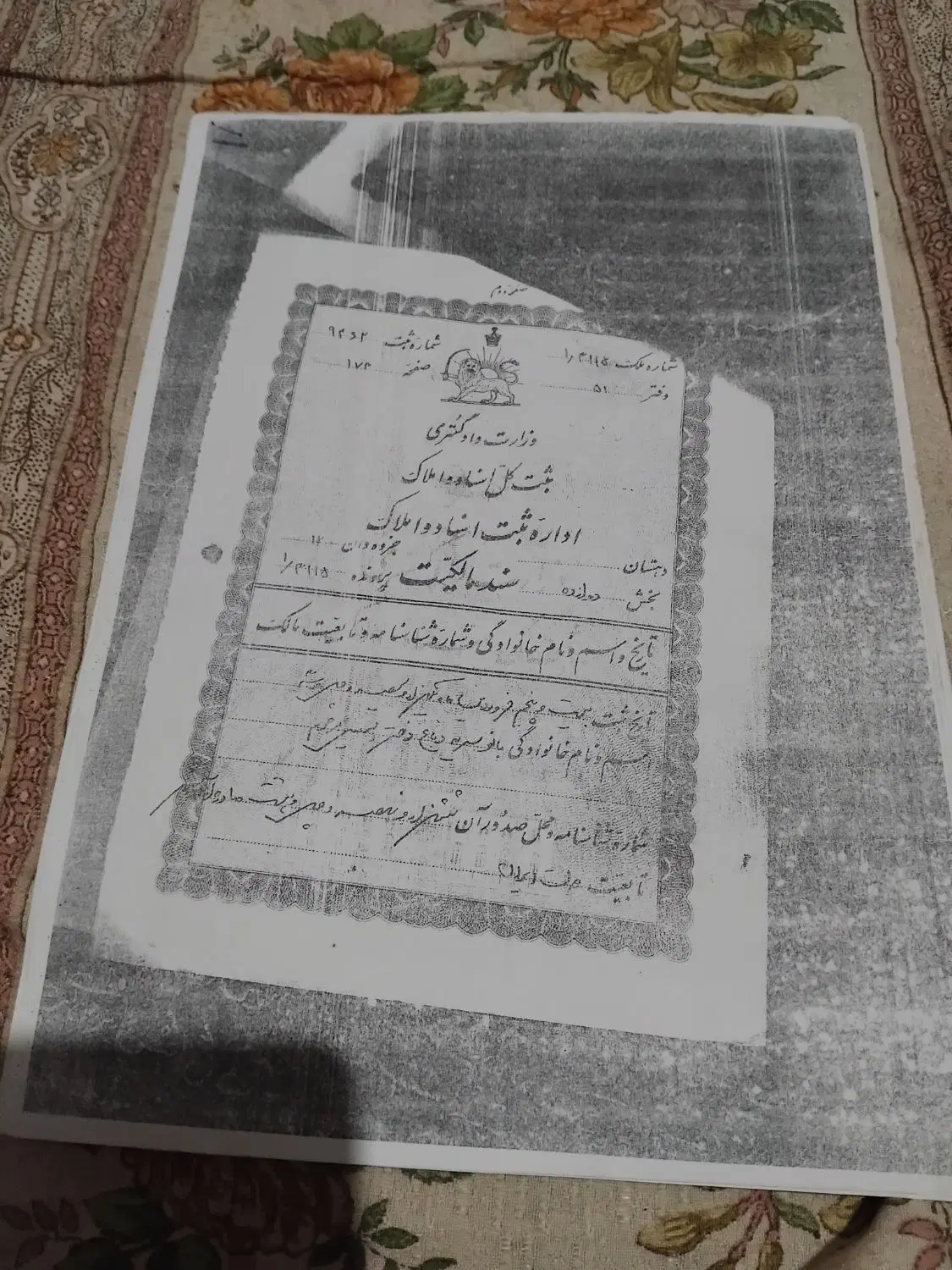 زمین کشاورزی