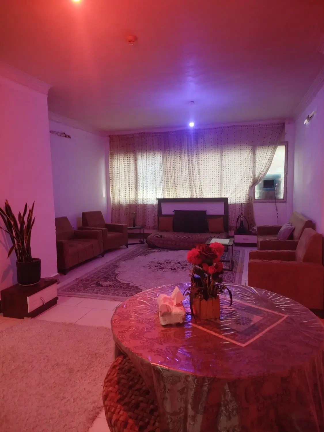 اجاره سوئیت  روزانه .ساعتی