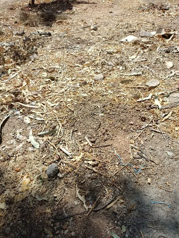 زمین مسکونی و تجاری