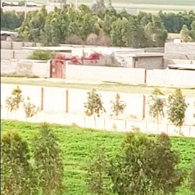 520متر زمین باغچه ای