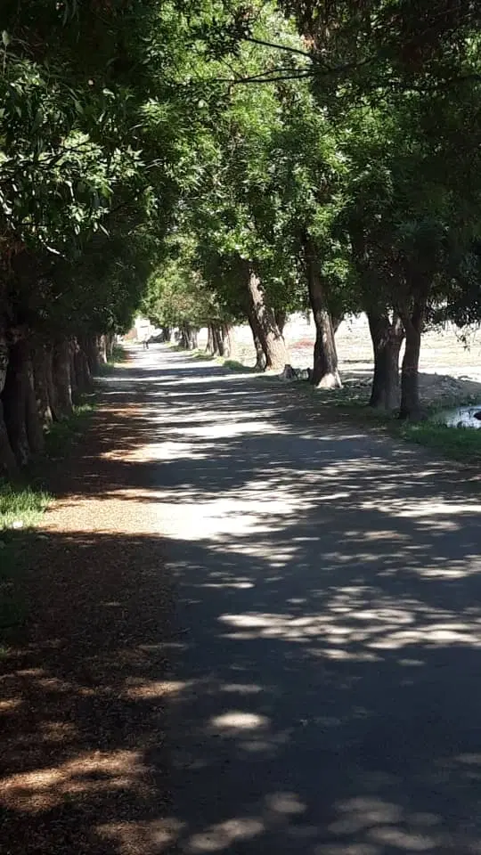 باغچه شهرکی نیمه ساخت ۴۲۰ متری