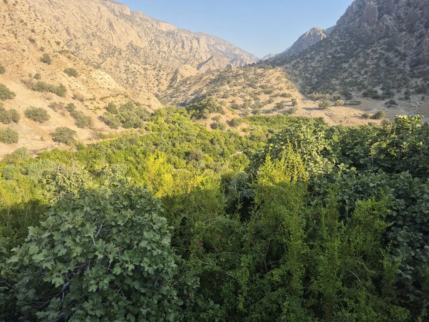 زمین طرح معلم