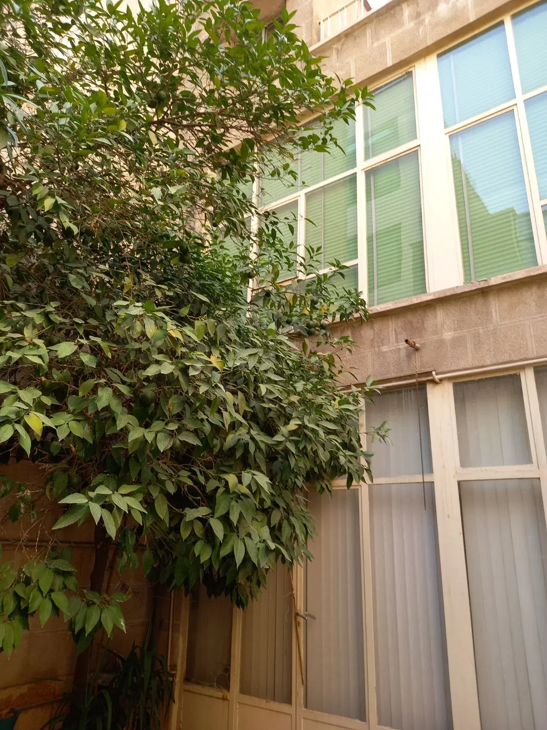 خانه ویلایی کلنگی ۸۶ متری