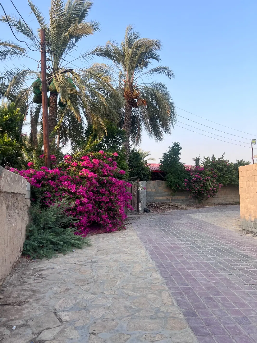 زمین ۳۰۰متری ساحلی