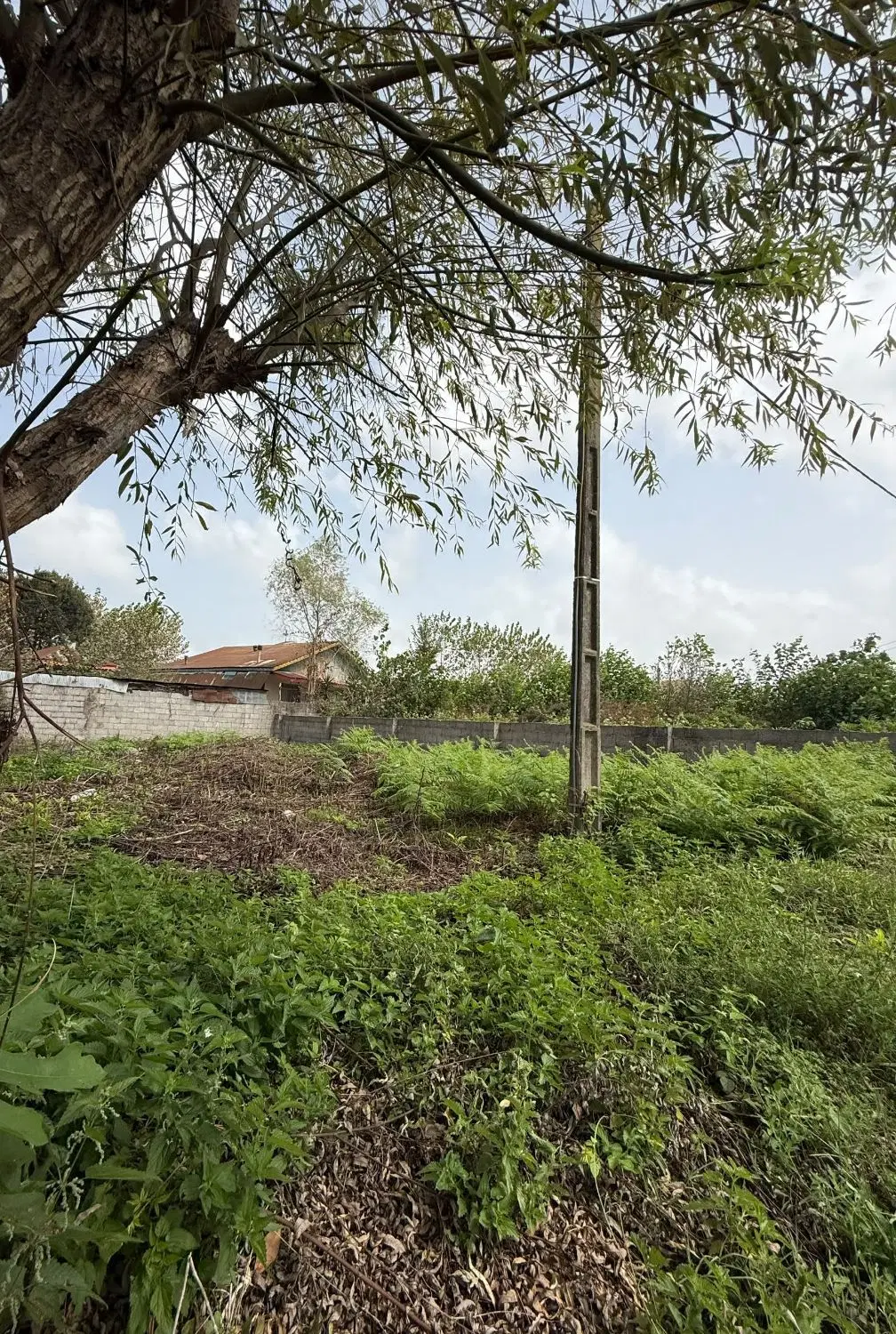 فروش زمین